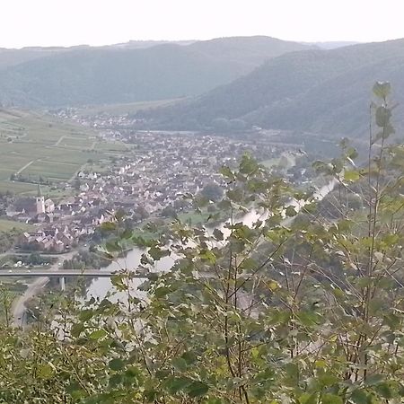 Ferienwohnungen Am Bruttiger Moselsteig المظهر الخارجي الصورة