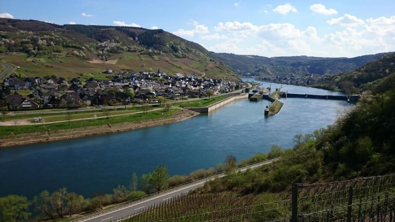 Ferienwohnungen Am Bruttiger Moselsteig المظهر الخارجي الصورة