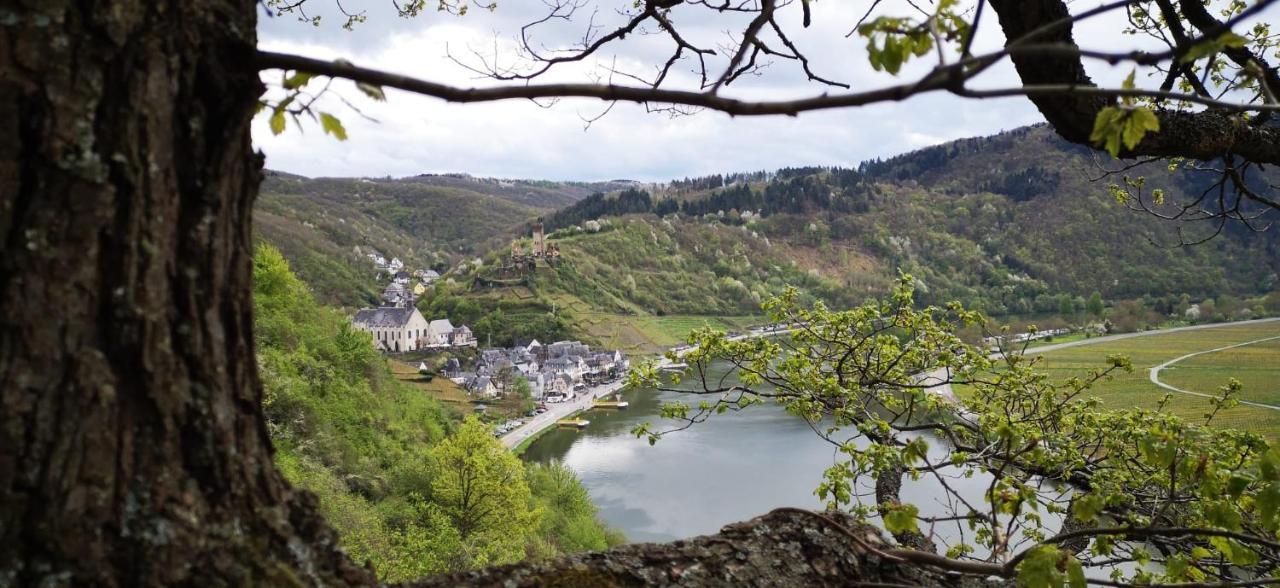 Ferienwohnungen Am Bruttiger Moselsteig المظهر الخارجي الصورة