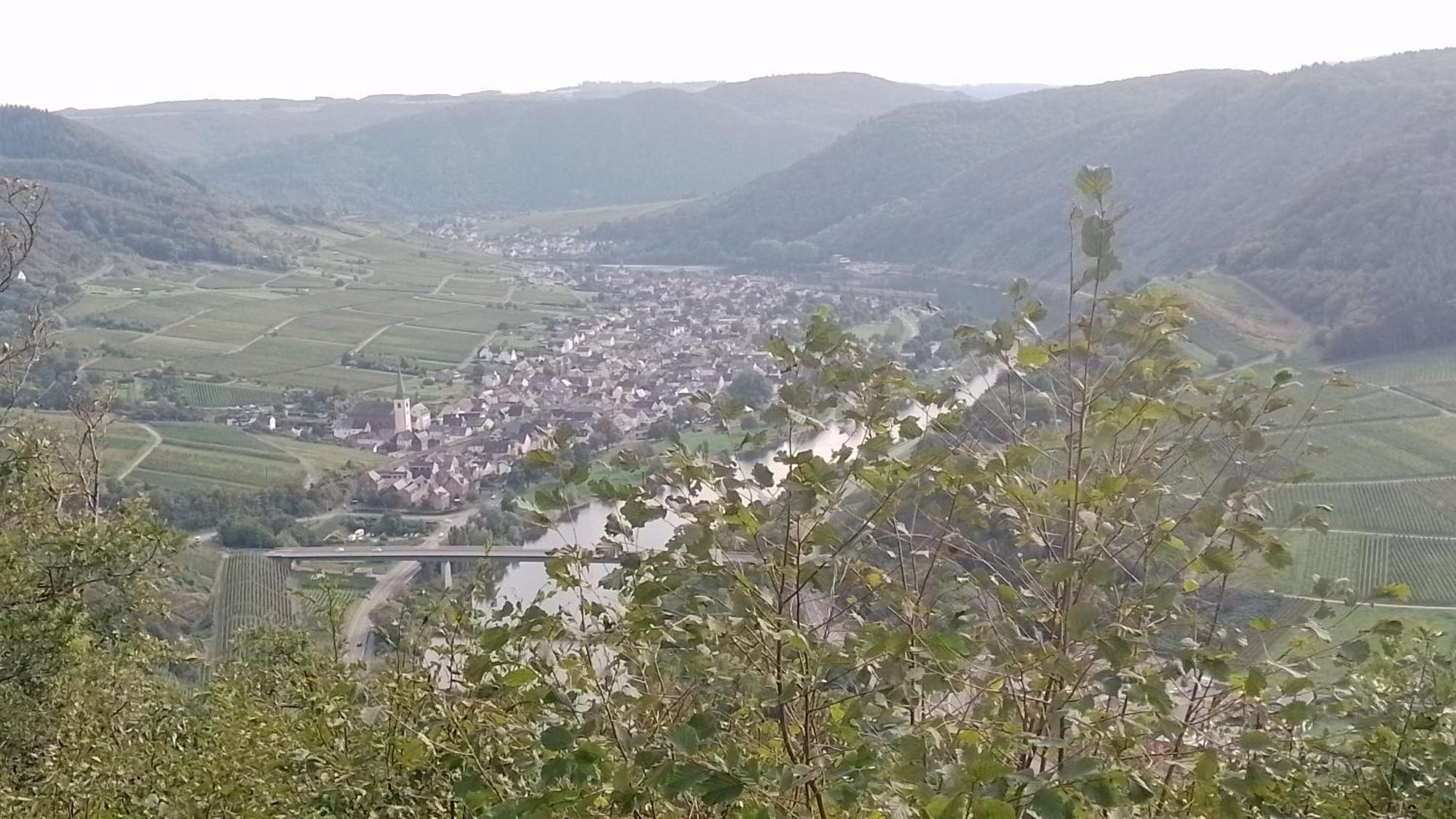 Ferienwohnungen Am Bruttiger Moselsteig المظهر الخارجي الصورة