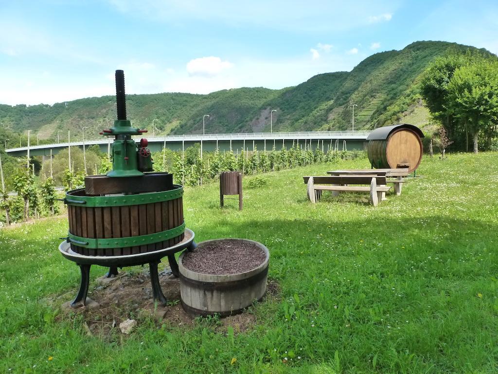 Ferienwohnungen Am Bruttiger Moselsteig الغرفة الصورة