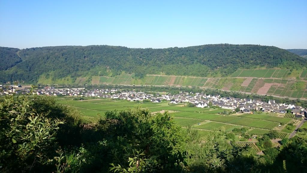 Ferienwohnungen Am Bruttiger Moselsteig المظهر الخارجي الصورة