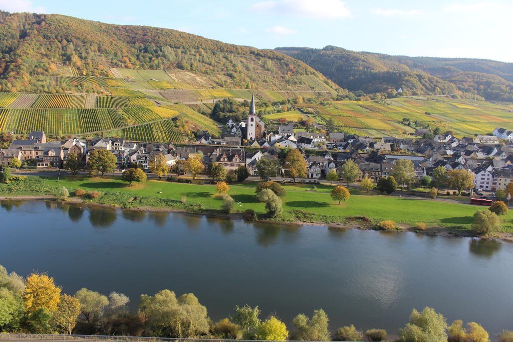Ferienwohnungen Am Bruttiger Moselsteig المظهر الخارجي الصورة