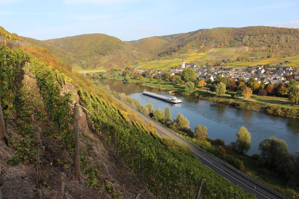 Ferienwohnungen Am Bruttiger Moselsteig المظهر الخارجي الصورة