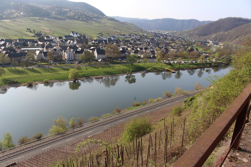 Ferienwohnungen Am Bruttiger Moselsteig المظهر الخارجي الصورة