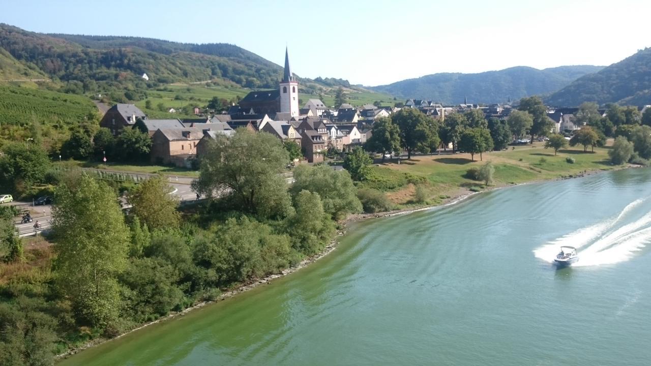 Ferienwohnungen Am Bruttiger Moselsteig المظهر الخارجي الصورة