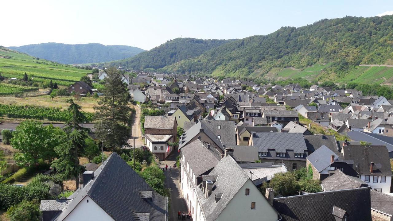 Ferienwohnungen Am Bruttiger Moselsteig المظهر الخارجي الصورة