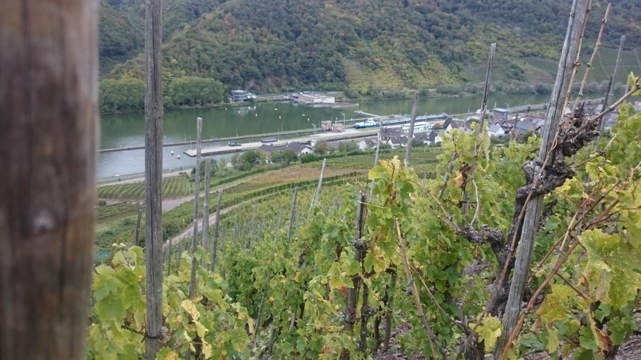 Ferienwohnungen Am Bruttiger Moselsteig المظهر الخارجي الصورة