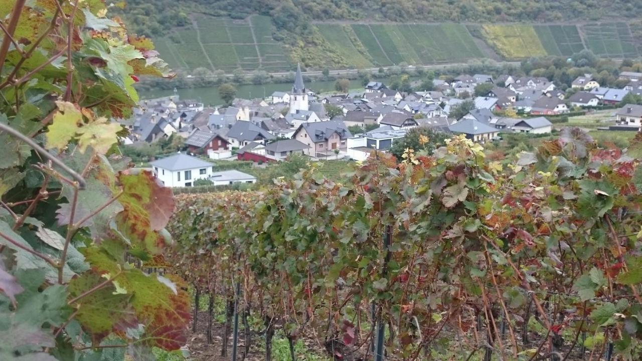 Ferienwohnungen Am Bruttiger Moselsteig المظهر الخارجي الصورة
